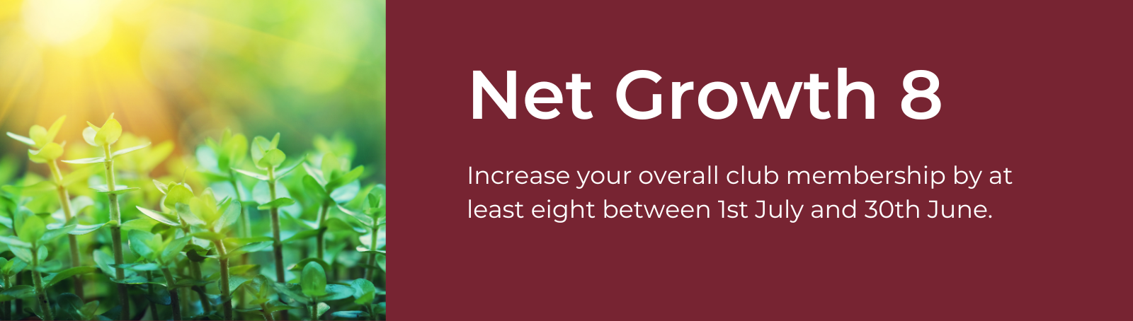 Net Growth 8