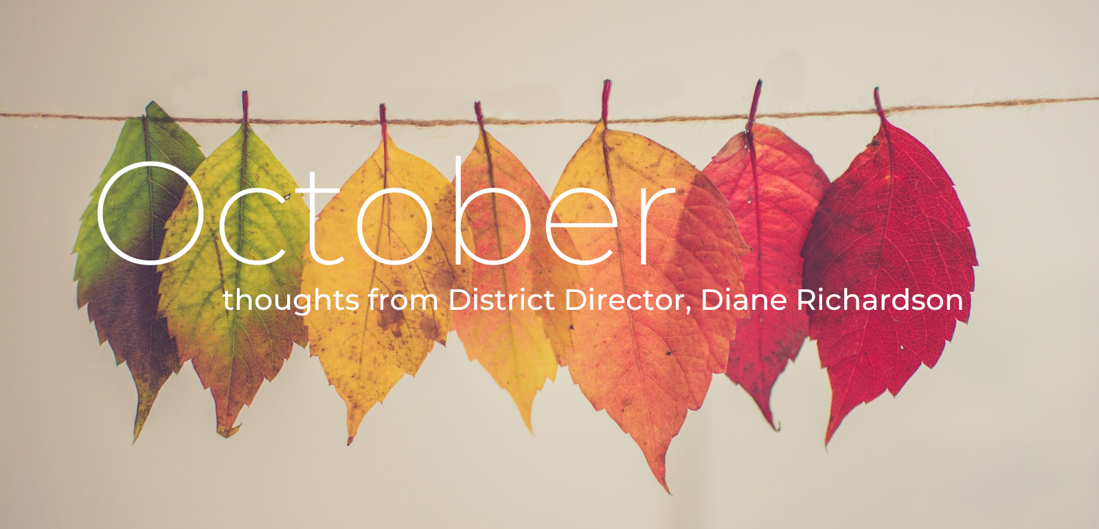 October thoughts from District Director, Diane Richardson